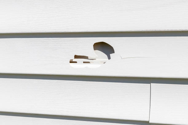 Affordable siding repair and maintenance services in Farmersville, CA